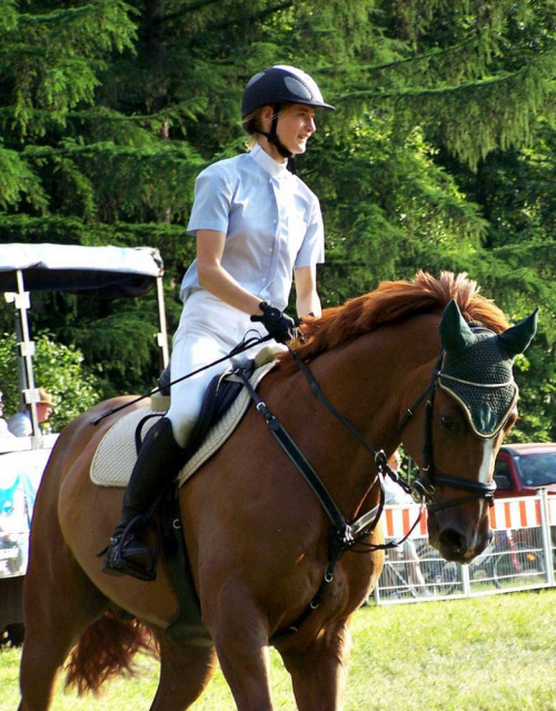 zawody konne w chorzowskim parku #konie #ficiol007
