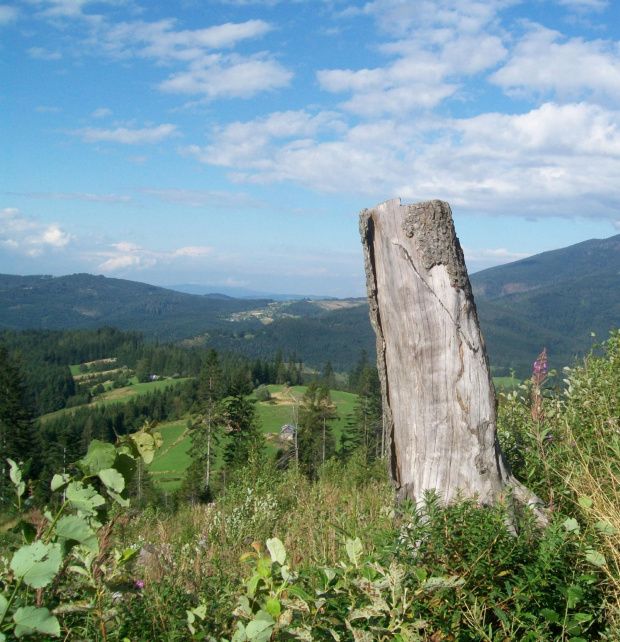 #Beskid #Polska #krajobraz