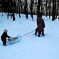 GAJA DURITIA Filos-dziecko i pies