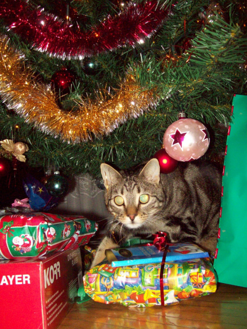 który prezent jest mój?