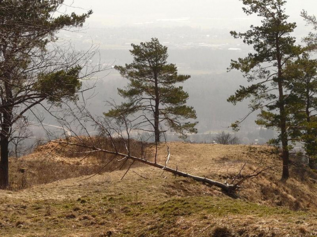 ...moze ktos wymysli tytul dla tego zdjecia?