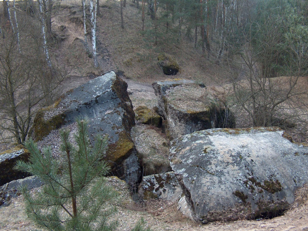 fort beniaminów