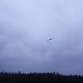 Nie doleciały samoloty z Angli i nasze F-16 ale pokazał akrobację samolot z aeroklubu lubuskiego. #ImprezyWPlenerze