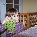 Paulinka z arkadią