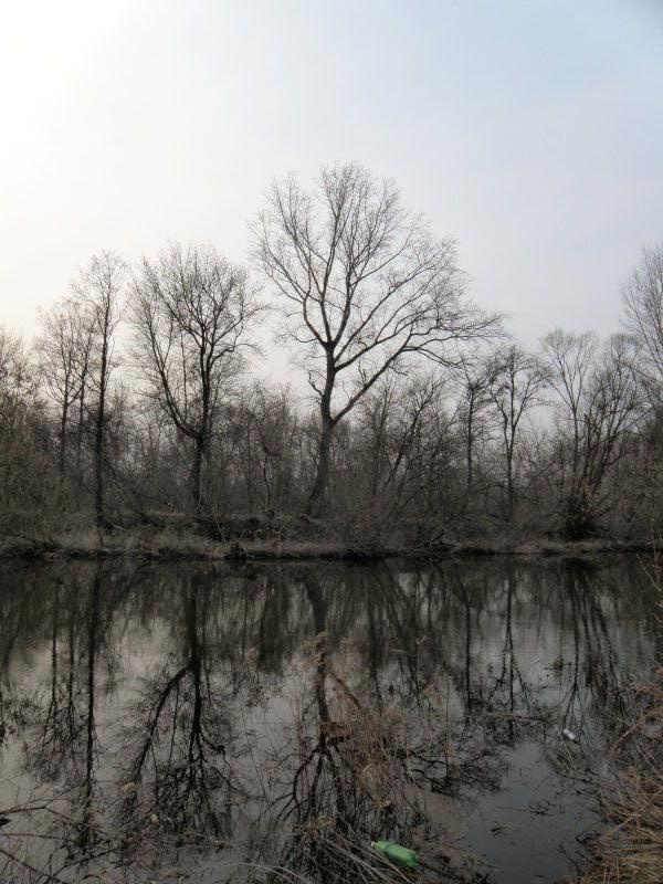 Okolice ujścia rzeki Świder do wisły